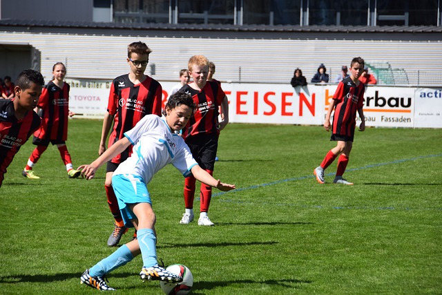 意的例子是 意的例子是