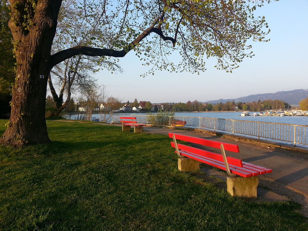 一名运动员 一名运动员