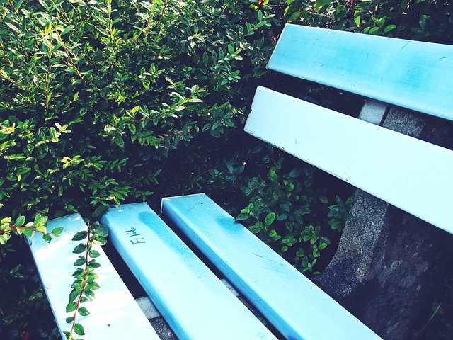 化冰场和滑 化冰场和滑